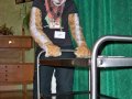 Zodiacon 2012 209.jpg